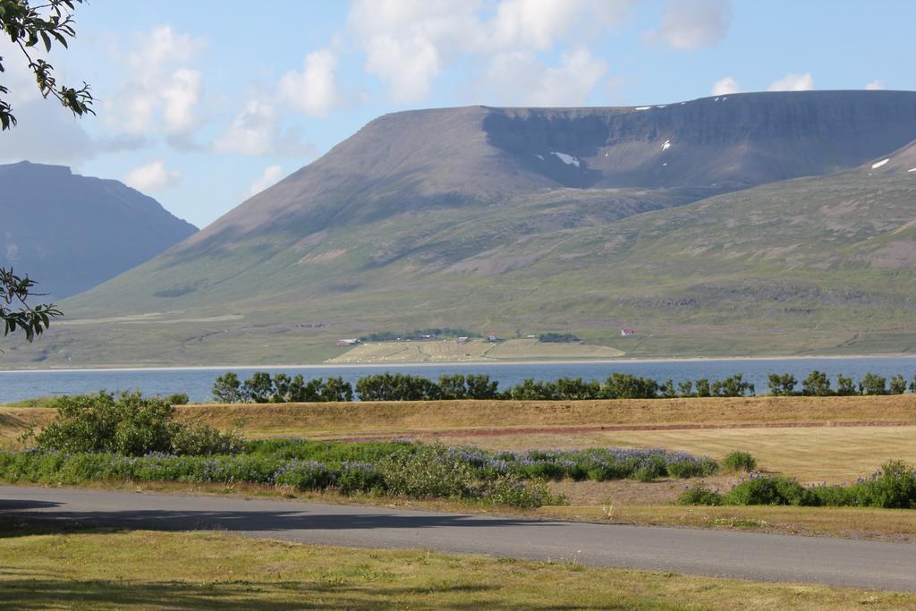 The Guesthouse By The Fjord Thingeyri Luaran gambar